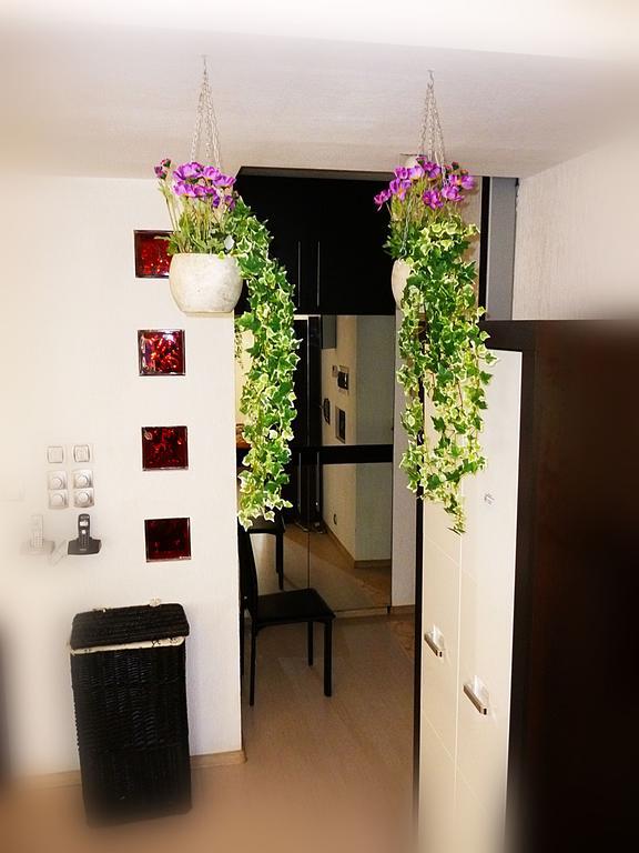 Ditton Apartment City Center ダウガフピルス 部屋 写真