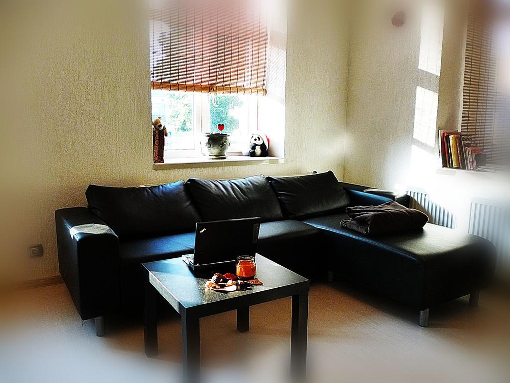 Ditton Apartment City Center ダウガフピルス 部屋 写真